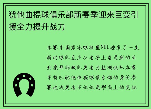 犹他曲棍球俱乐部新赛季迎来巨变引援全力提升战力